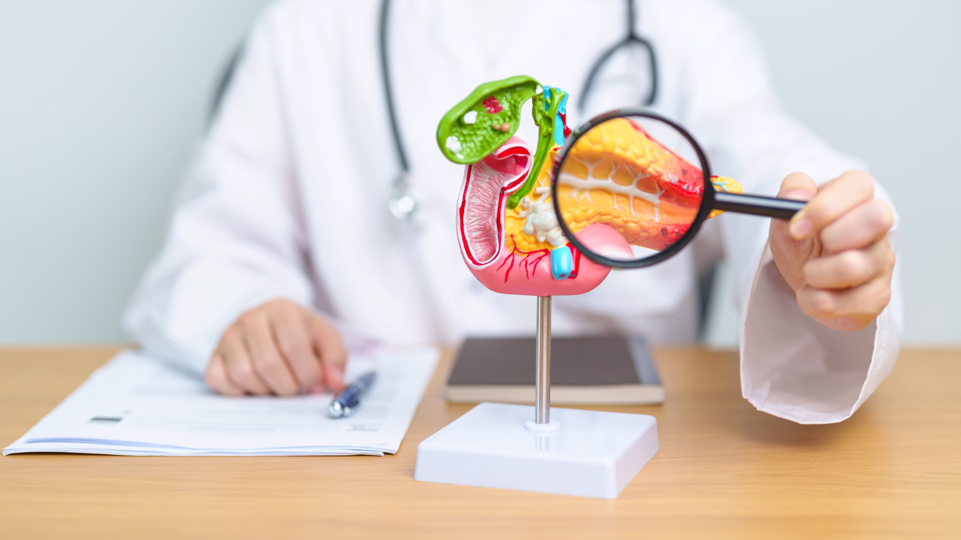 Nuove ricerche sul pancreas umano mostrano che le cellule beta hanno un ruolo attivo nel diabete tipo 1. Cosa cambia per autoimmunit&agrave; e terapie?